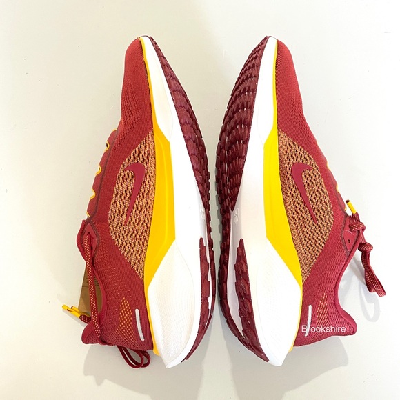 Nike Air Zoom Pegasus 41 USC Trojans Team Crimson Men\'s Size 9.5 FZ5150-600 main image 4
